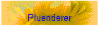 Pluenderer