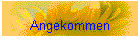 Angekommen