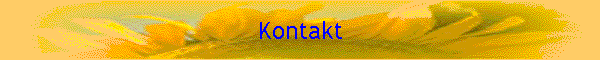 Kontakt