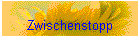 Zwischenstopp